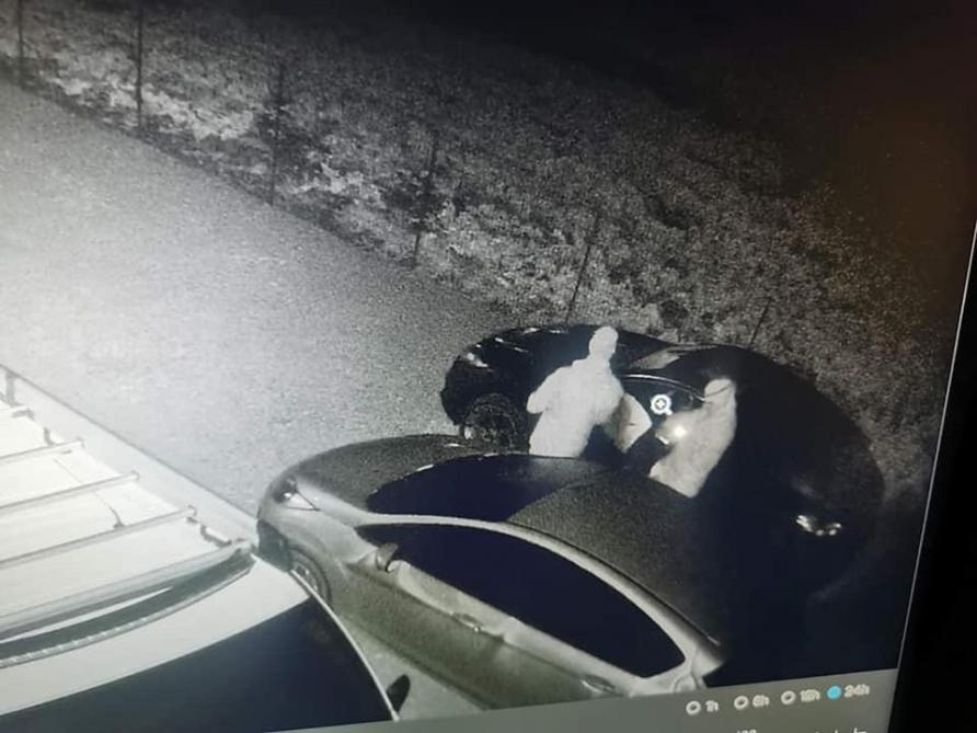 Elle se lâche dans ma voiture Elle se lâche dans ma voiture